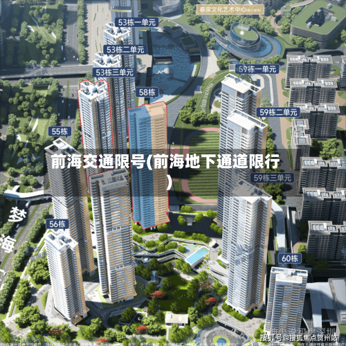 前海交通限号(前海地下通道限行)
