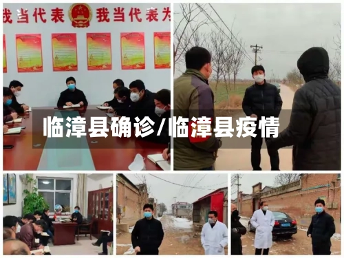 临漳县确诊/临漳县疫情-第2张图片