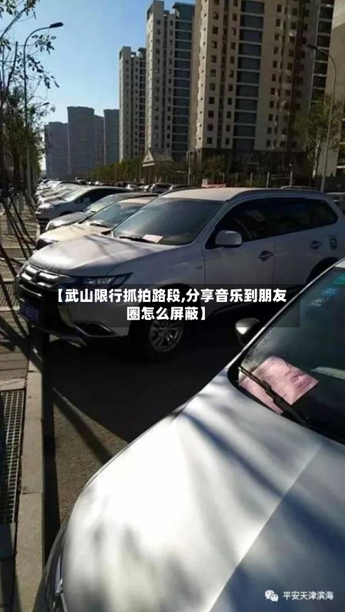 【武山限行抓拍路段,分享音乐到朋友圈怎么屏蔽】-第2张图片