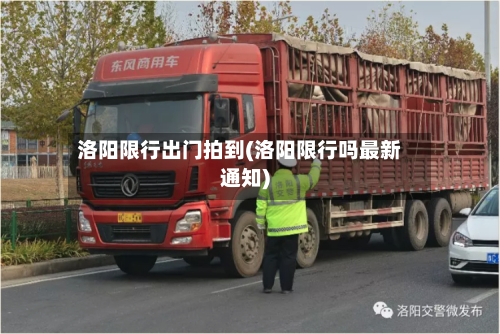 洛阳限行出门拍到(洛阳限行吗最新通知)-第3张图片
