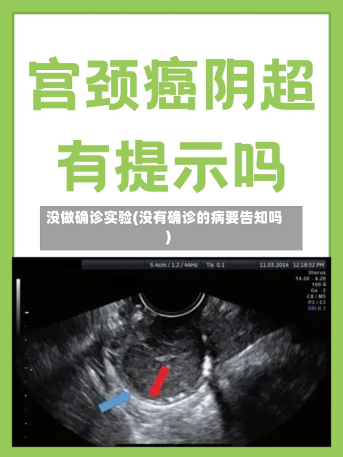 没做确诊实验(没有确诊的病要告知吗)-第3张图片