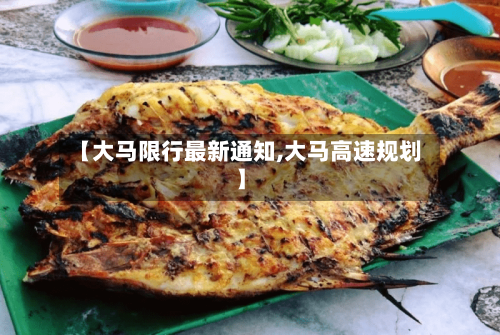 【大马限行最新通知,大马高速规划】-第2张图片