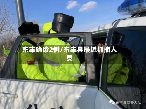 东丰确诊2例/东丰县最近抓捕人员-第2张图片
