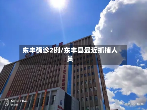东丰确诊2例/东丰县最近抓捕人员-第3张图片