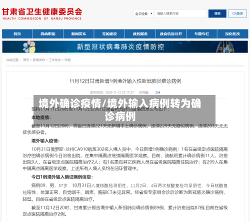 境外确诊疫情/境外输入病例转为确诊病例