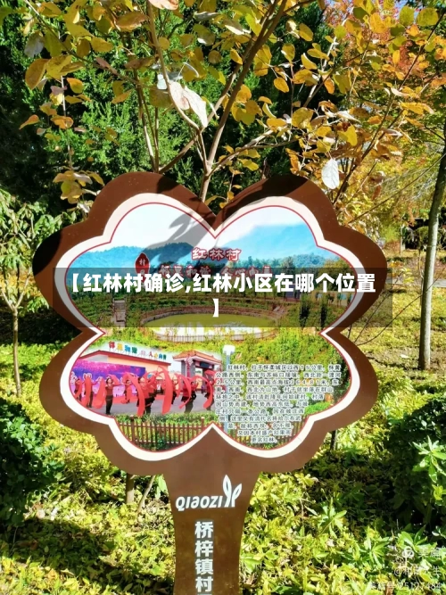 【红林村确诊,红林小区在哪个位置】-第2张图片