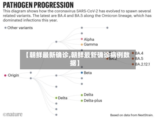 【朝鲜最新确诊,朝鲜最新确诊病例数据】