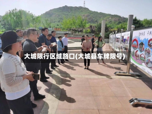 大城限行区域路口(大城县车牌限号)-第3张图片