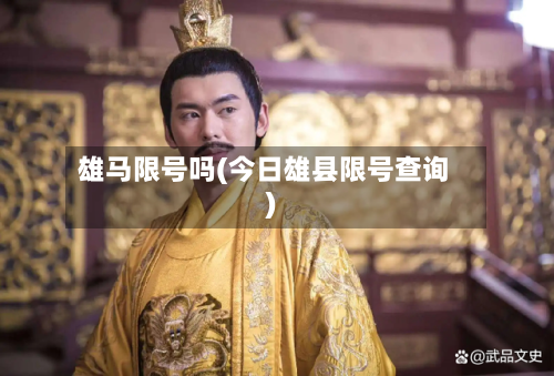雄马限号吗(今日雄县限号查询)-第2张图片