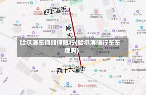 哈尔滨车辆如何限行(哈尔滨限行车车牌吗)