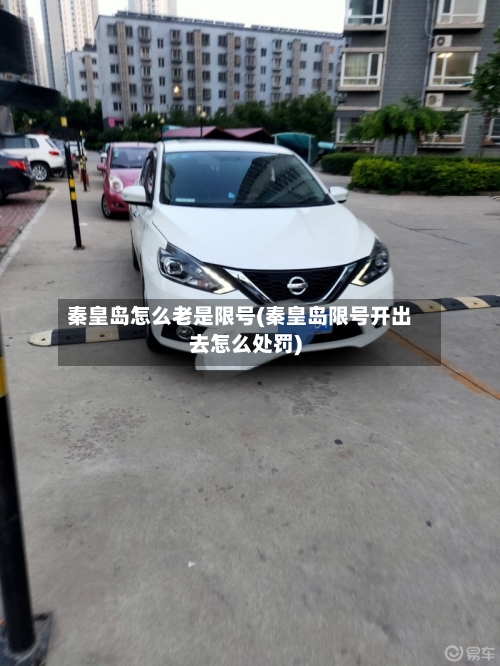 秦皇岛怎么老是限号(秦皇岛限号开出去怎么处罚)-第2张图片