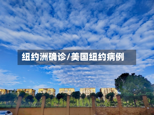 纽约洲确诊/美国纽约病例-第2张图片