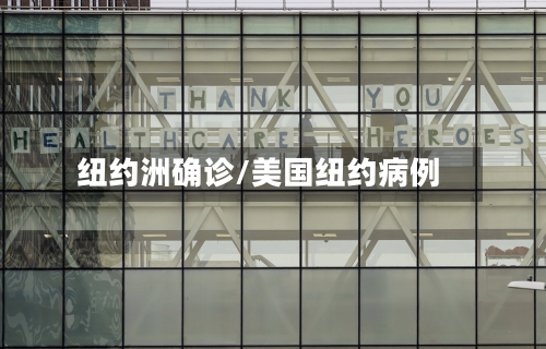 纽约洲确诊/美国纽约病例-第3张图片
