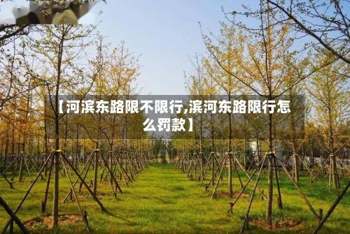 【河滨东路限不限行,滨河东路限行怎么罚款】