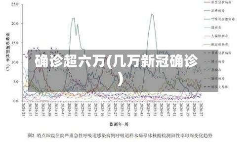 确诊超六万(几万新冠确诊)-第2张图片