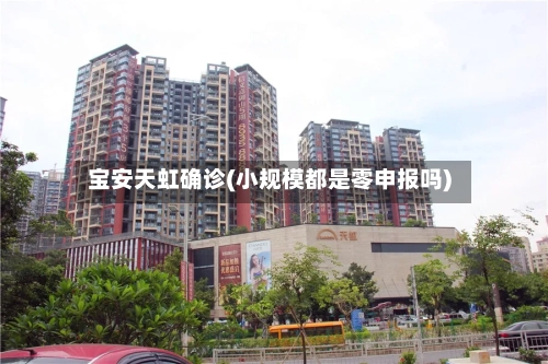 宝安天虹确诊(小规模都是零申报吗)-第2张图片