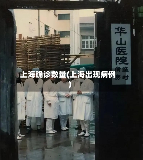 上海确诊数量(上海出现病例)