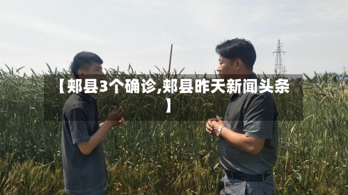 【郏县3个确诊,郏县昨天新闻头条】-第2张图片