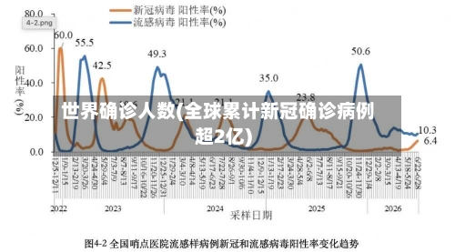 世界确诊人数(全球累计新冠确诊病例超2亿)-第3张图片