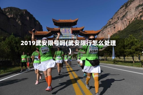 2019武安限号吗(武安限行怎么处理)
