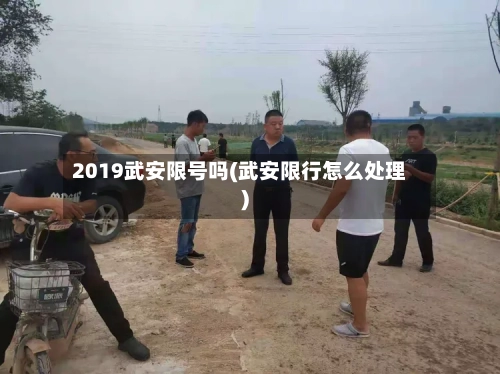 2019武安限号吗(武安限行怎么处理)-第3张图片