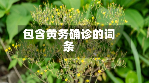 包含黄务确诊的词条-第2张图片