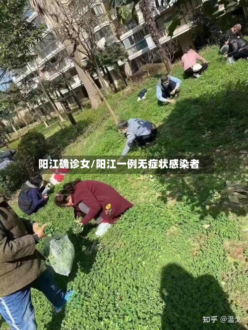 阳江确诊女/阳江一例无症状感染者-第2张图片