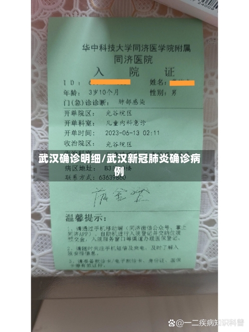 武汉确诊明细/武汉新冠肺炎确诊病例