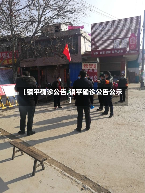 【镇平确诊公告,镇平确诊公告公示】-第2张图片