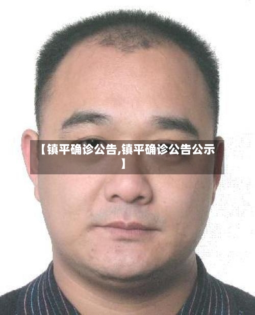 【镇平确诊公告,镇平确诊公告公示】