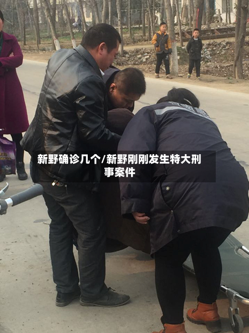 新野确诊几个/新野刚刚发生特大刑事案件