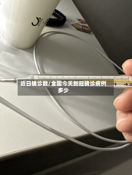 近日确诊数/全国今天新冠确诊病例多少-第3张图片