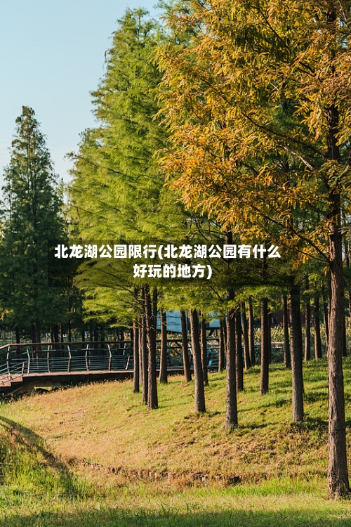 北龙湖公园限行(北龙湖公园有什么好玩的地方)