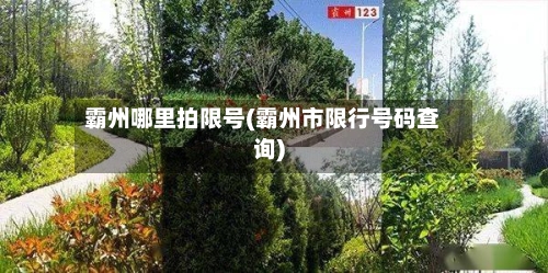 霸州哪里拍限号(霸州市限行号码查询)-第3张图片