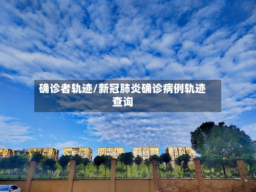 确诊者轨迹/新冠肺炎确诊病例轨迹查询-第2张图片