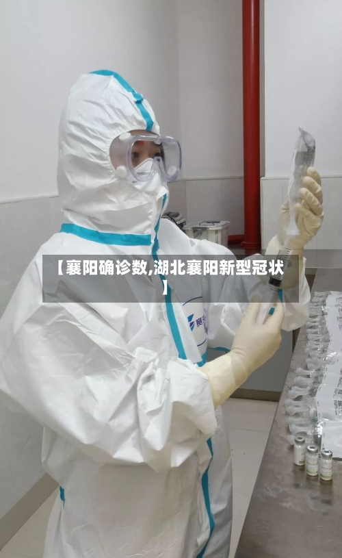 【襄阳确诊数,湖北襄阳新型冠状】