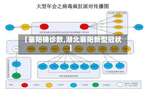 【襄阳确诊数,湖北襄阳新型冠状】-第2张图片